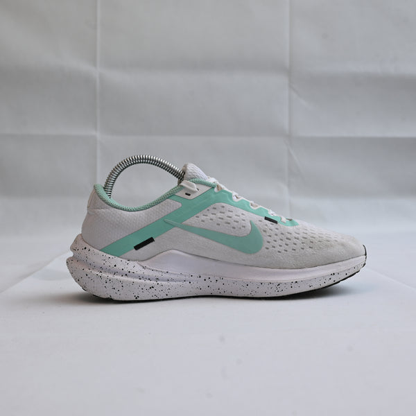 Nike Winflow 10 running shoes